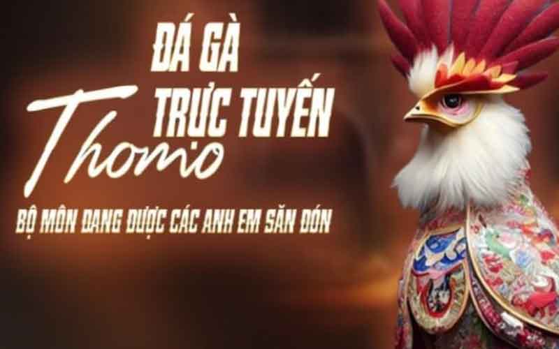 đá gà trực tiếp