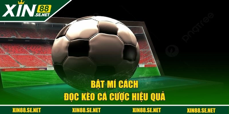 Bật mí cách đọc kèo cá cược hiệu quả