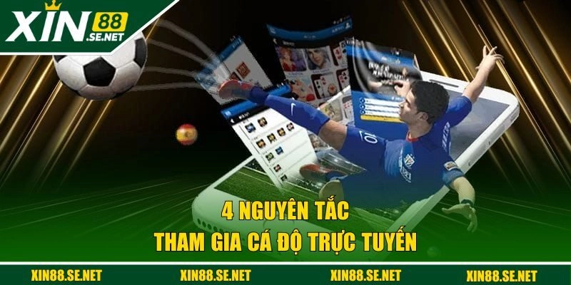 4 nguyên tắc tham gia cá độ trực tuyến