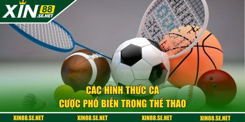 Các hình thức cá cược phổ biến trong thể thao