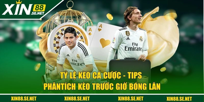 Tỷ lệ kèo cá cược